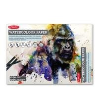 ราคา สมุดสเก๊ตช์ภาพ A3 DERWENT 2301971 300gsm (Y012610)