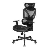 ราคา Furradec เก้าอี้เพื่อสุขภาพ รุ่น Celine