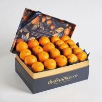 ราคา thefruitbox.co เดอะ ซิทรัส โกรฟ กระเช้าผลไม้ (YD06559)