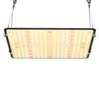 ราคา ไฟปลูกต้นไม้ LED สําหรับปลูกต้นไม้ในร่ม 100วัตต์ อิ๊งเบิร์ด ดํา ชิ้น (YD04706)