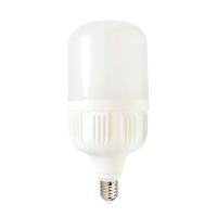 ราคา หลอดไฟ LED 30 วัตต์ Daylight LUZINO รุ่น T100 E27 (Y024492)