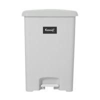 ราคา ถังขยะขาเหยียบพลาสติก 42 ลิตร Dude สีเทา Kassa Home AG329 ชิ้น (YD05888)