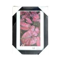 ราคา กรอบรูปไม้ ขนาด A4 รุ่น FA4AT100 สีดำ (YB62846)