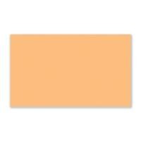 ราคา SB กระดาษโปสเตอร์ 2 หน้า #27 100g สีครีม ขนาด 78x52.50 ซม. แพ็ค 10 แผ่น (5007638)