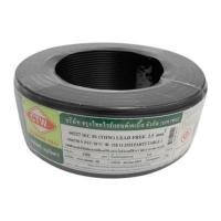 ราคา CTW สายไฟ IEC 01 THW 1x2.5 ยาว 100 เมตร สีดำ (YD09159)