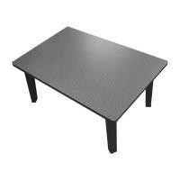 ราคา โต๊ะพับญี่ปุ่นลายผ้า KASSA ขนาด 60 x 40 ซม. สีเทา (Y021897)