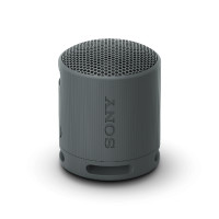 ราคา ลำโพงไร้สาย Sony SRS-XB100 Portable Wireless Speaker (YA17183)