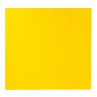 ราคา แผ่นพลาสติกลูกฟูก 3 มม. 65x61 ซม. เหลือง แพลนโก F2-PB2 (5004141)