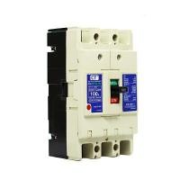 ราคา โมลเคสเซอร์กิตเบรกเกอร์ CT ELECTRIC รุ่น CTNF-100c ขนาด3P100A สีขาว (Y076618)