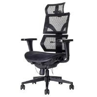 ราคา เก้าอี้เพื่อสุขภาพ เออร์โกเทรน Malmo Light (A013815)