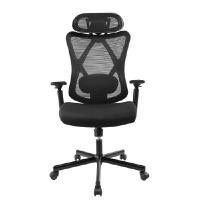 ราคา เก้าอี้เพื่อสุขภาพ MODENA Ergo Soft สีดำ (A015511)