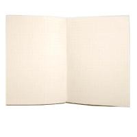 ราคา สมุดสันกาว iboom IB1139 60 แผ่น กรีนรี้ด B6 จุดไข่ปลา ( (Y005741)