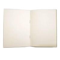 ราคา สมุด DOT GRID iboom IB1902D 30 แผ่น จุดไข่ปลา, กรีนรี้ด (Y005750)