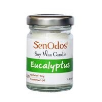 ราคา เทียนหอม อโรม่า เทียนหอมไขถั่วเหลือง กลิ่นยูคาลิปตัส ขนาด 45 กรัม (Y007989)