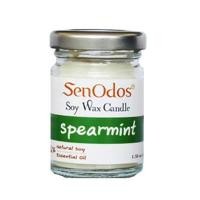 ราคา เทียนหอม อโรม่า เทียนหอมไขถั่วเหลือง กลิ่นสเปียร์มินท์ ขนาด 45 กรัม (Y007999)