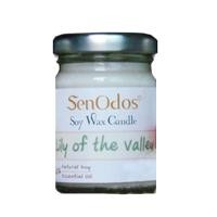 ราคา เทียนหอม อโรม่า เทียนหอมไขถั่วเหลือง กลิ่นลิลลี่ อ๊อฟ เดอะ วอลเลย์ ขนาด 45 กรัม (Y008004)