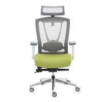 ราคา เก้าอี้เพื่อสุขภาพ เออร์โกเทรน รุ่น ERGO-X GREEN (Y011733)