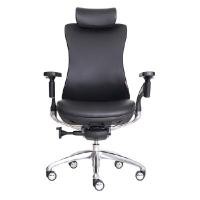 ราคา Ergotrend เก้าอี้เพื่อสุขภาพ รุ่น Ultimate Portsea