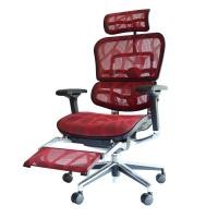 ราคา DF Prochair เก้าอี้เพื่อสุขภาพ รุ่น Ergo2 Plus