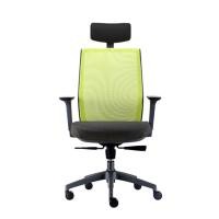 ราคา DF Prochair เก้าอี้เพื่อสุขภาพ รุ่น Loop-H