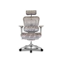 ราคา DF Prochair เก้าอี้เพื่อสุขภาพ รุ่น Ergo3 ZB7