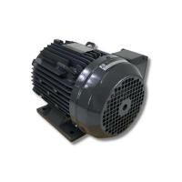 ราคา HITACHI มอเตอร์สำหรับนากุ้ง รุ่น TFO-K 3HP/2.2KW 3เฟส IP55 สีเทาดำ (YD18952)