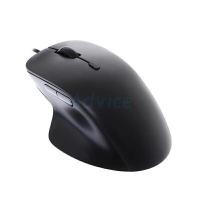ราคา RAPOO USB Mouse รุ่น N500 สี BLACK (YC62466)