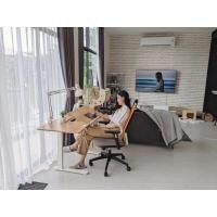 ราคา DF Prochair โต๊ะปรับระดับเพื่อสุขภาพ ขนาด 60x120 ซม. รุ่น ET120