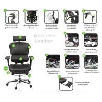 ราคา DF Prochair เก้าอี้เพื่อสุขภาพ รุ่น Ergo 2 Plus Leather