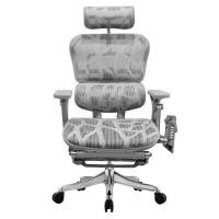 ราคา DF Prochair เก้าอี้เพื่อสุขภาพ รุ่น Ergo3 Top Plus ZB7