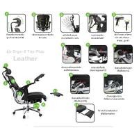 ราคา DF Prochair เก้าอี้เพื่อสุขภาพ รุ่น Ergo 2 Top Plus Leather