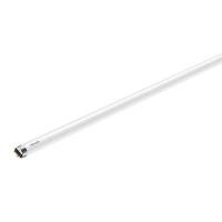 ราคา หลอดไฟ LED T8 8 วัตต์ Cool Daylight PHILIPS รุ่น ECOFIT 765 (Y035417)