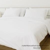 ราคา ปลอกหมอนหนุน KASSA HOTEL รุ่น 250T ขนาด 20 x 30 + 6 นิ้ว สีขาว (Y078129)