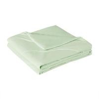 ราคา KASSA HOME ผ้าห่ม Cooling รุ่น Fcl-Basic4-GN สีเขียว ขนาด 60 x 80 นิ้ว (YC03817)