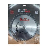 ราคา GIANTTECH ใบเลื่อยวงเดือน (40 ฟัน) รุ่น 62025040T ขนาด 10 นิ้ว (YA38621)