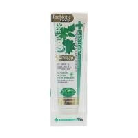 ราคา DENTISTE ยาสีฟันพรีเมียมแคร์ 100กรัม (YD18768)