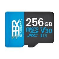 ราคา BLACKBERRY MICRO SD CARD 256GB CLASS10 U3 V30 SDXC I อ่านข้อมูลได้ 90MB/S (แพ็ค 1 ชิ้น) (YD32646)