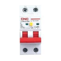 ราคา CNC ELECTRIC เบรกเกอร์กันดูด รุ่น RCBO-2P-32A-300mA 2P 32A 300mA 230V AC (YB85588)
