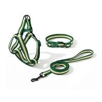 ราคา PETSTER สายจูงสุนัข ปรับระดับได้ รุ่น SRY0092 สีเขียว ขนาด S (YD37367)