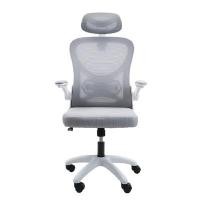 ราคา MODENA เก้าอี้เพื่อสุขภาพ รุ่น Ally สีเทา (A020637)