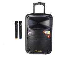 ราคา SHERMAN ลำโพงล้อลาก 12 นิ้ว APS-125 (BT) สีดำ (YA08581)