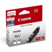 Canon Ink Cartridge (CLI-751GY)