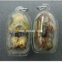 ราคา ปิดตานางพราย (ใหญ่เลี่ยมน้ำมันพรายเรืองทรัพย์) พระอาจารย์โอ พุทโธรักษา พุทธสถานวิหารธรรมราช จ.เพชรบู