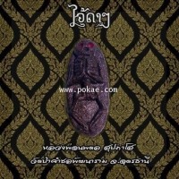 ราคา ไอ้ดาๆ หลวงพ่อนพดล สุปภาโส วัดป่าคำชลพัฒนาราม จ.อุดรธานี