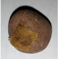 ราคา ลูกอมเสาร์ 5 บูชาครู ผสมเกษาชานหมากติดจีวร เสก 5 พิธีหลวงปู่ หมุน