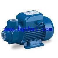 ราคา ปั้มน้ำ PEDROLLO PKM80