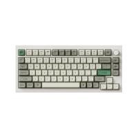 ราคา คีย์บอร์ดเกมมิ่ง Keychron Q5 Max Swappable RGB Backlight Knob Version White - Brown Switch (4895248871514)