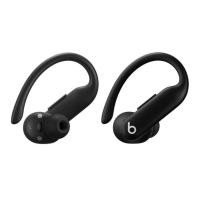 ราคา หูฟังไร้สาย Beats TWS Powerbeats Pro 2 Jet Black (195949590856)