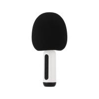 ราคา ไมโครโฟน TECHPRO Microphone Speaker (8851330107523)