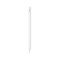 ราคา ปากกาไอแพด Apple Pencil USB-C (195949133671)